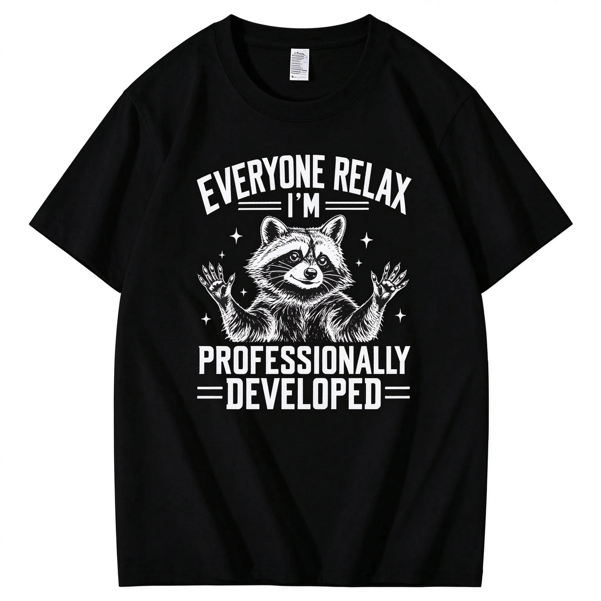 Everyone Relax I'm Professionally Developed  T-Shirt